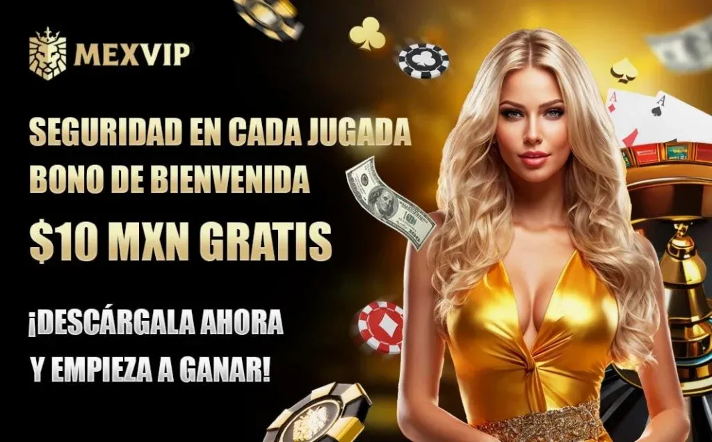 imgi 47 bono 2 1024x635 1