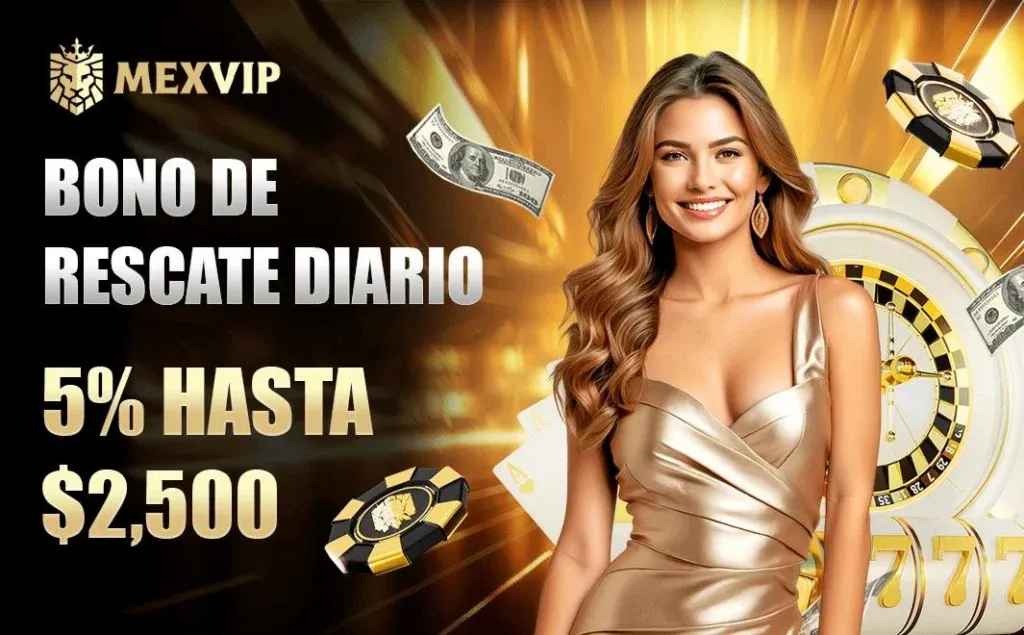 imgi 51 bono 3 1024x635 1