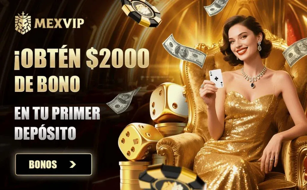 imgi 55 bono 1 1024x635 1